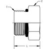 World Wide Fittings SAE O-Ring Plug - Hex Head 7237X10S